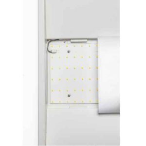 Center Basket LED Troffer 2X4 CCT and Wattage Tunable