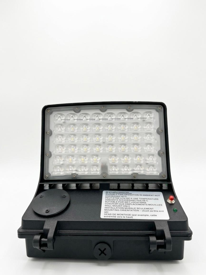 E2-WP-F-WP10-40W-50K-M-P-E-BK-1